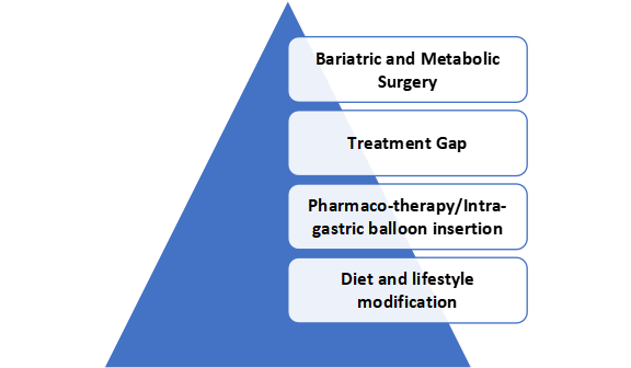pyramid-of-obesity